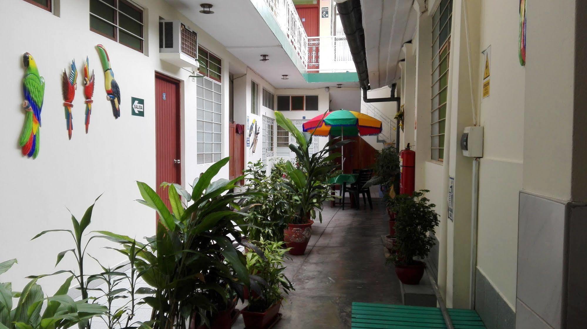 Hostal El Colibri Икитос Екстериор снимка